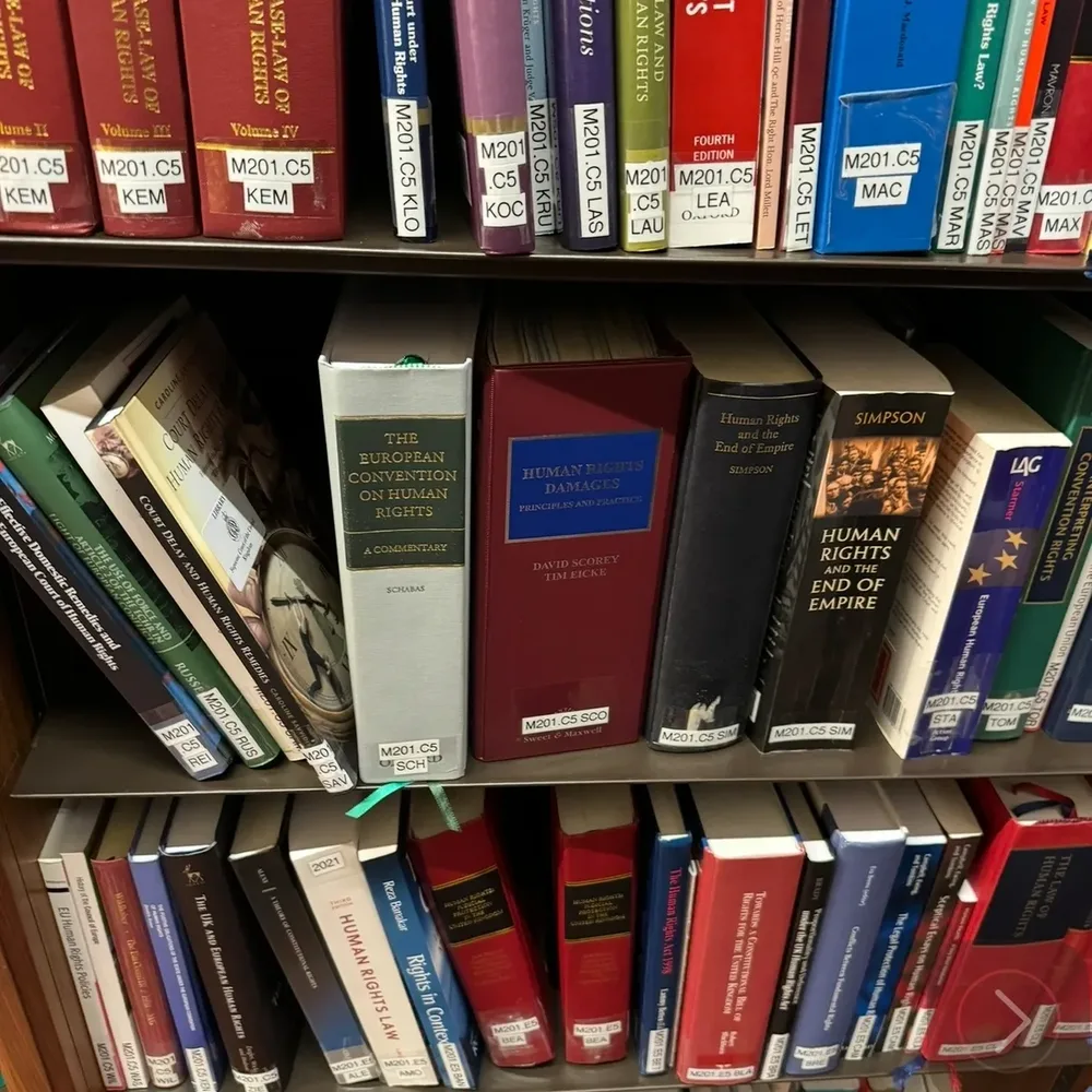 Shelves of human rights and case law books